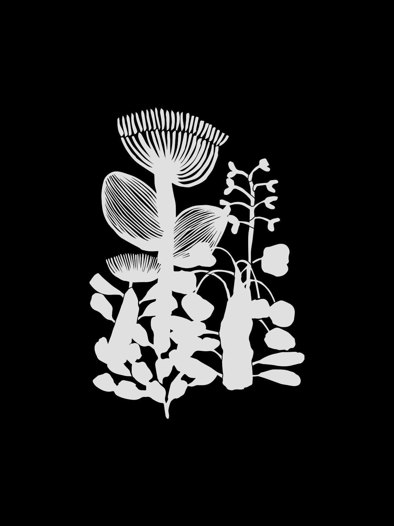 Herbarium printti
